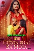 Chota Bhai Ka Mota (E01) Gulab Uncut Web Series