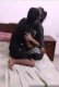 Desi CPL Hardcore Romance Private App Hot Video