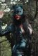 Thea Dsuuza PussyCat Onlyfans Private App Hot Video