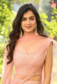 Hemal Ingle